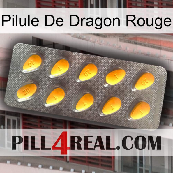 Red Dragon Pill cialis1.jpg